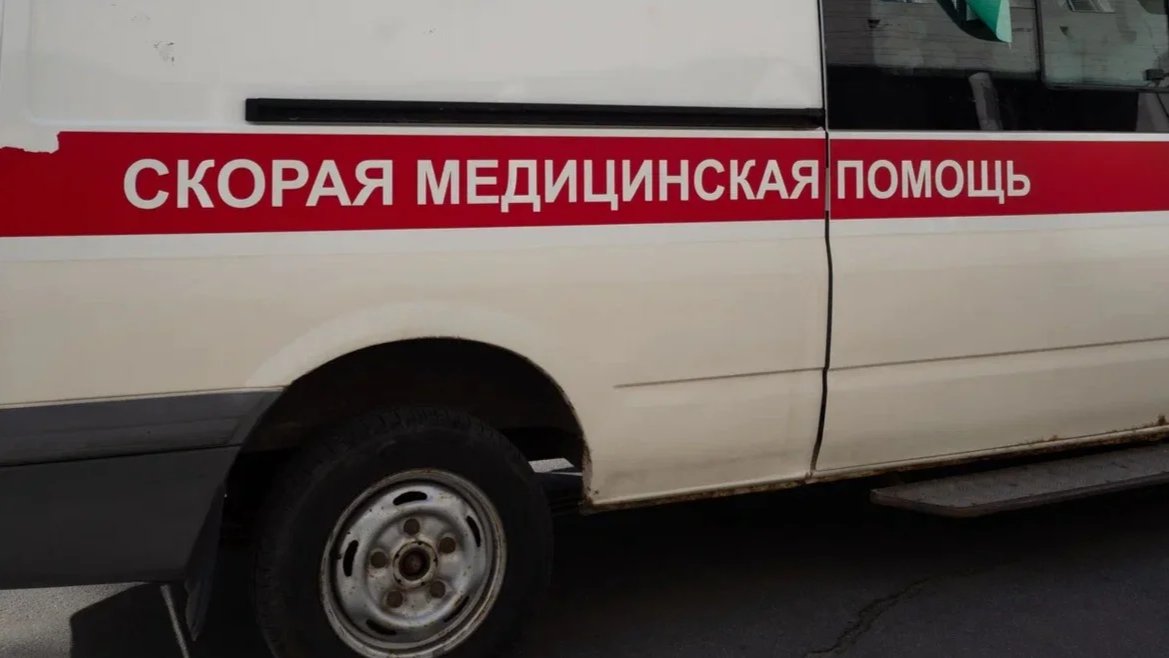 Фото: Дмитрий Абрамов / MР7