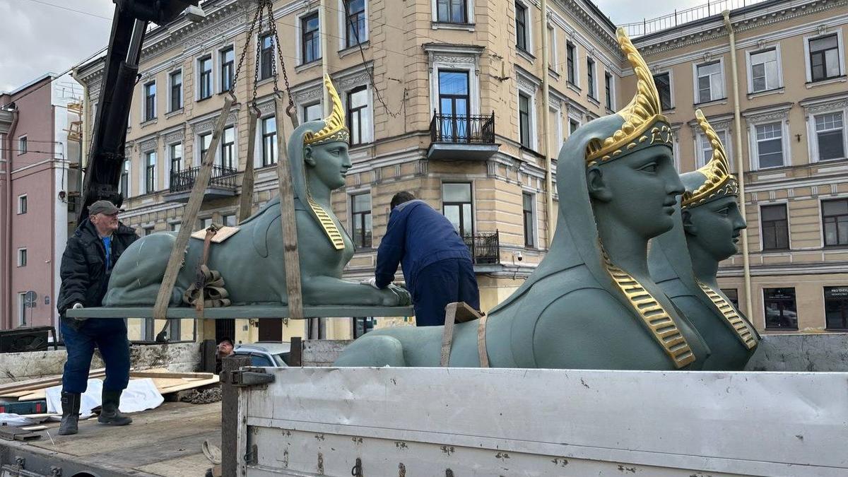 Последствия новогодних праздников: сфинксов с Египетского моста вновь увезли на реставрацию