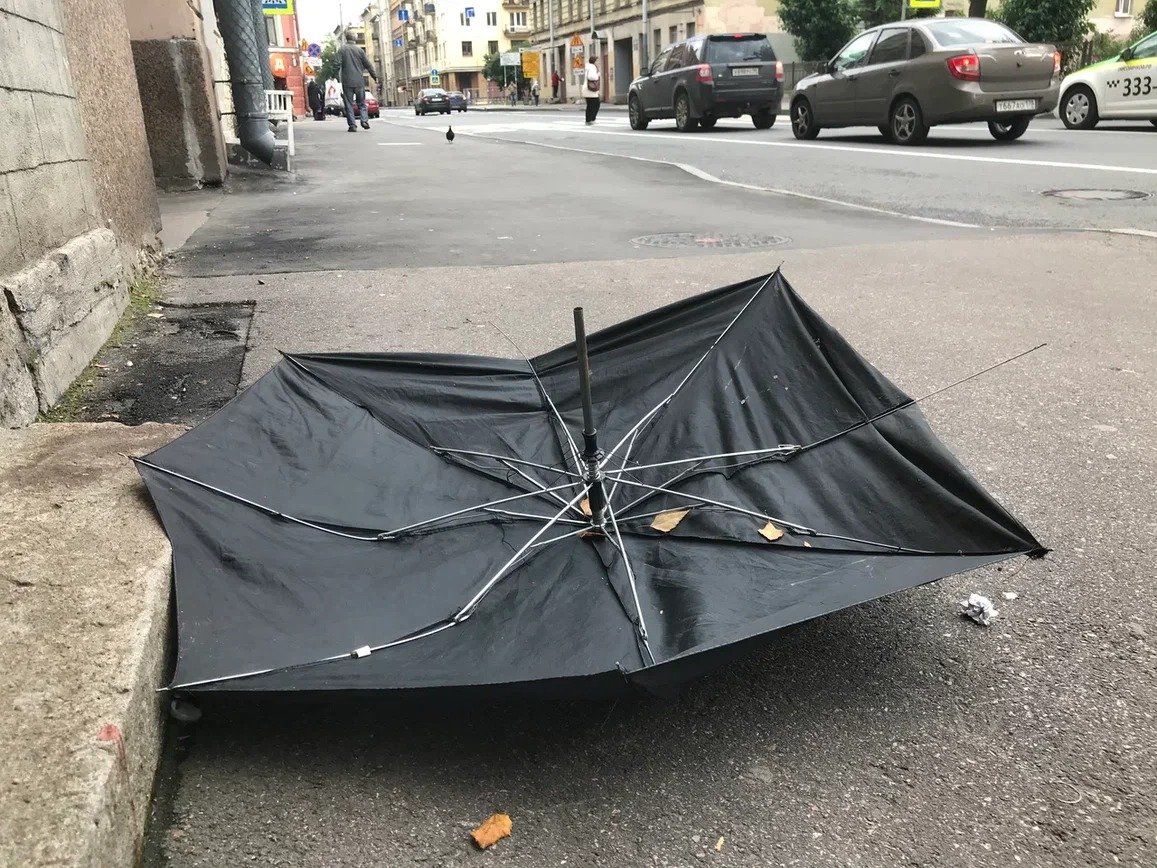 Фото: Олег Золото / MR7