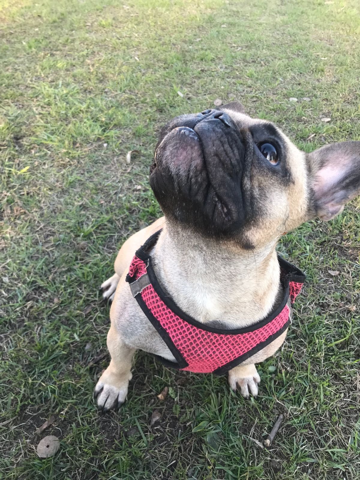 Верона. Фото: жительница Петроградской стороны