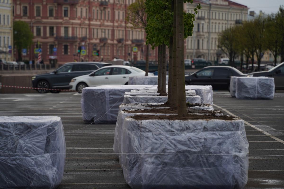 Фото: Павел Борисенко / MR7