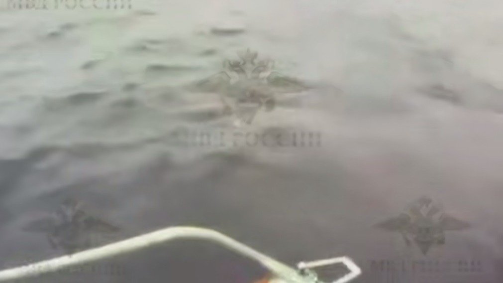 Скриншот видео от МВД России