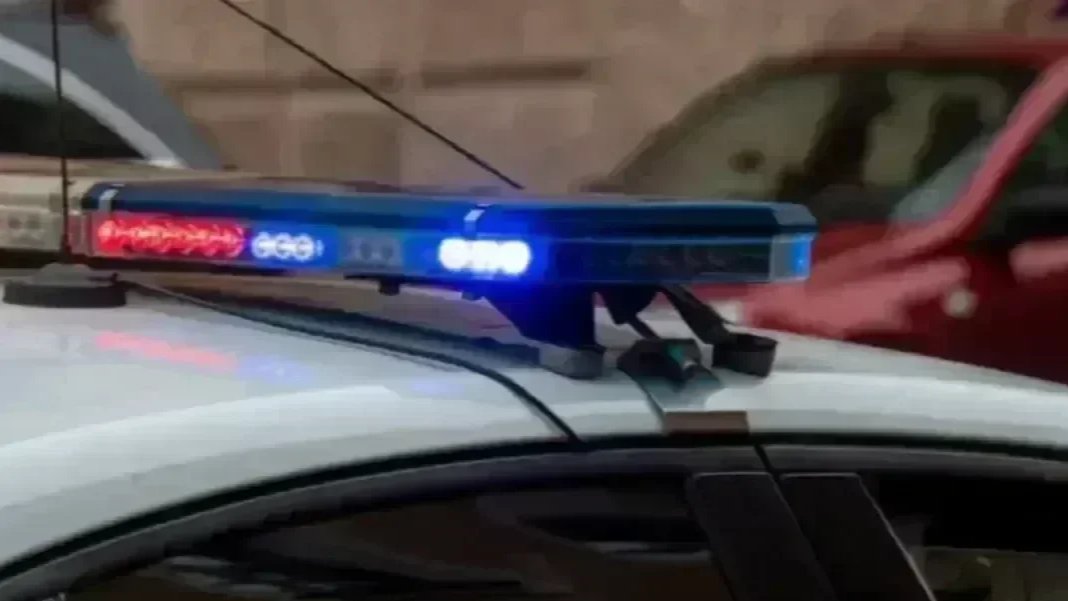 Фото: Олег Золото / MR7