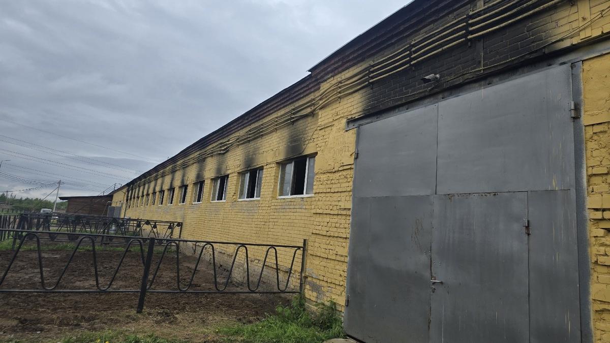 Фото: клуб «Виера» в ВК