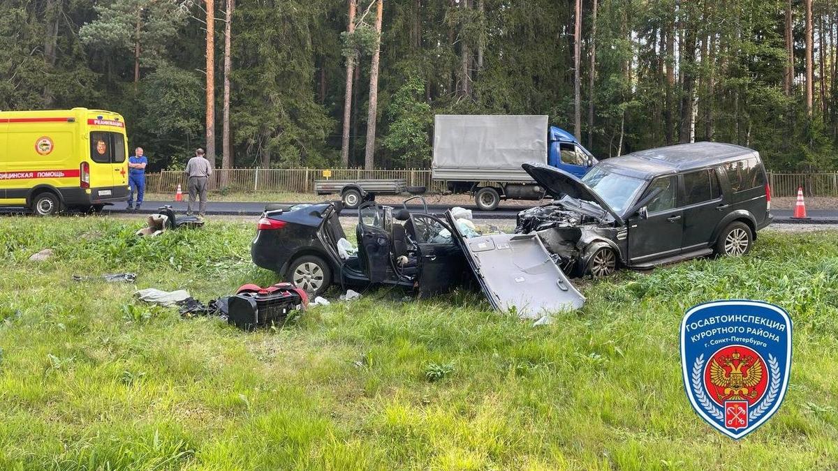 Фото: Госавтоинспекция по Петербургу и Ленобласти