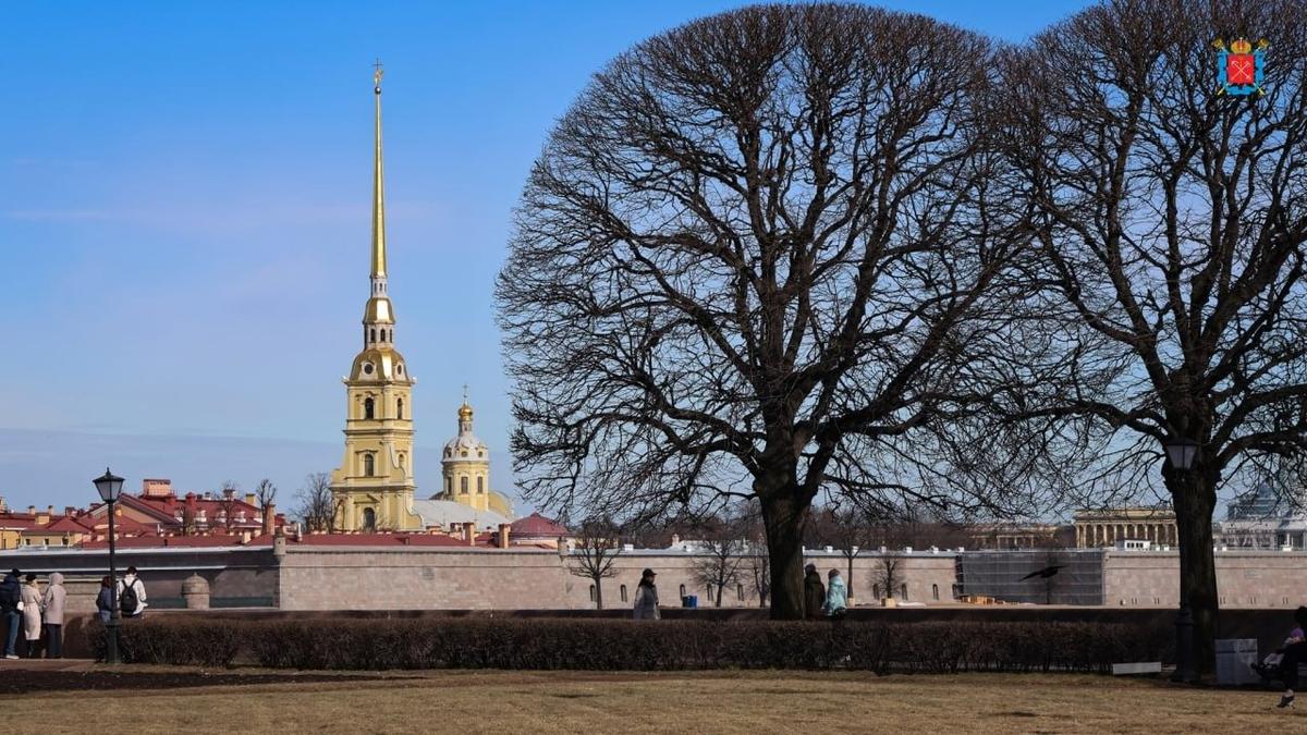 Фото: Смольный