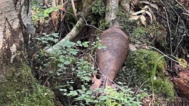 Фото: «Удельный парк»