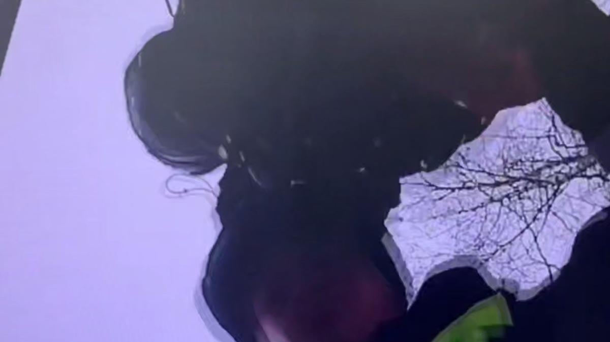 Скриншот видео: Госавтоинспекция по Петербургу и Ленобласти