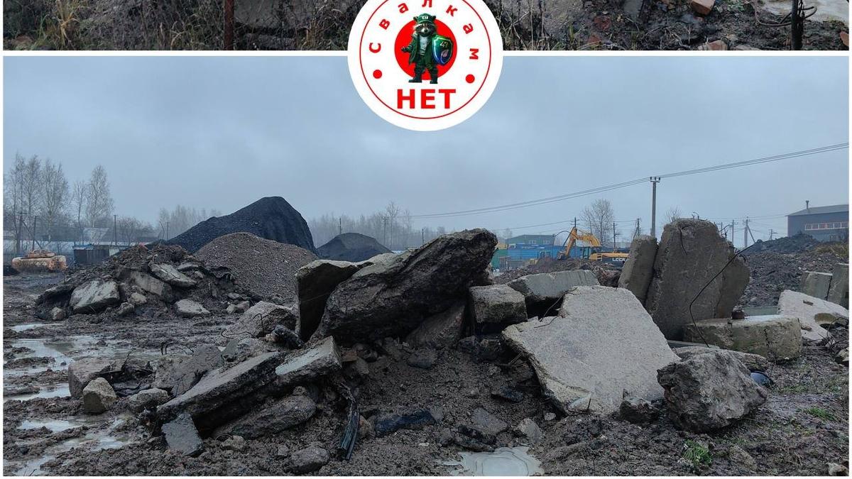 Фото: Эконадзор Ленобласти