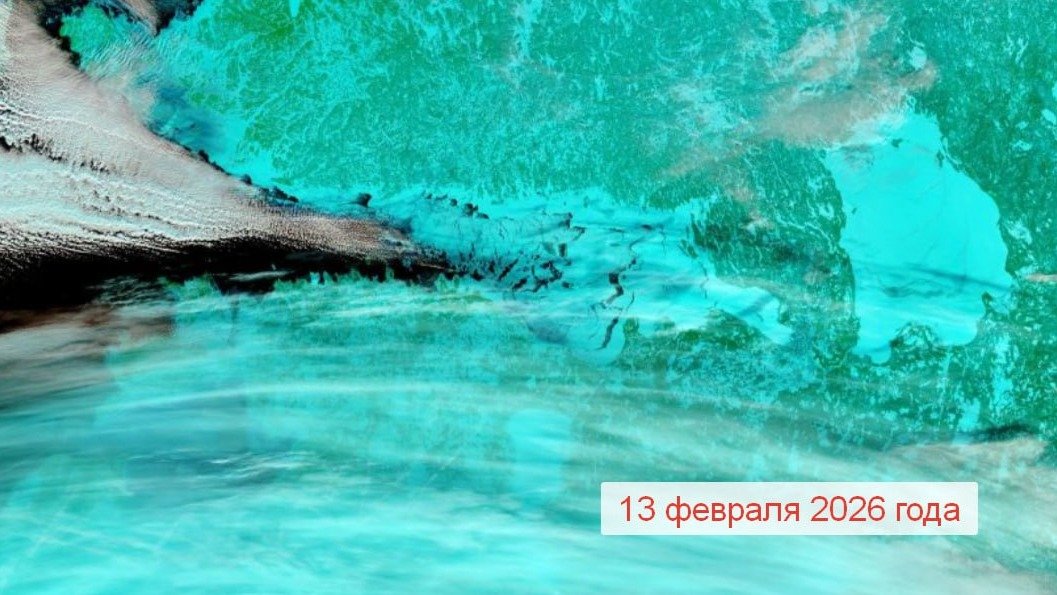 Изображение: telegram-канал Александра Колесова