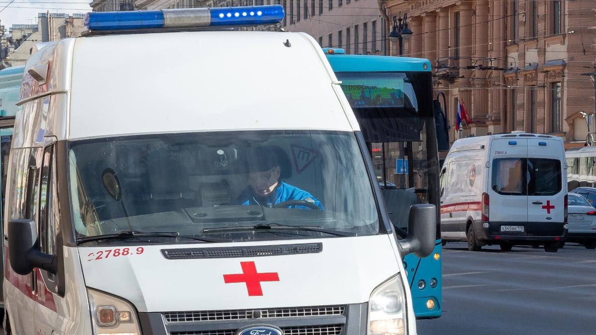 Фото: Олег Золото / МР7