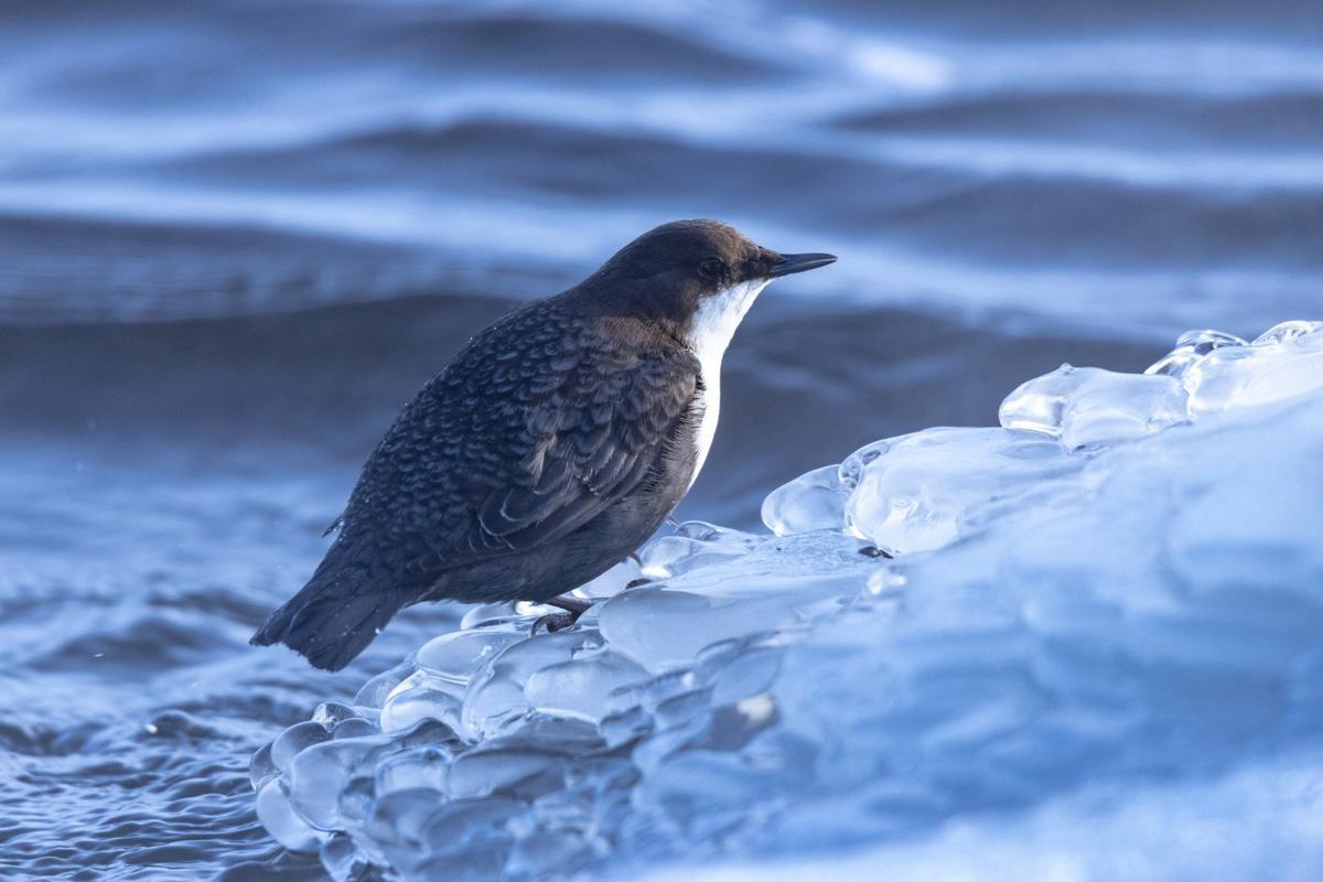 Фото: Катя Стрельникова / «Астрофотоболото»