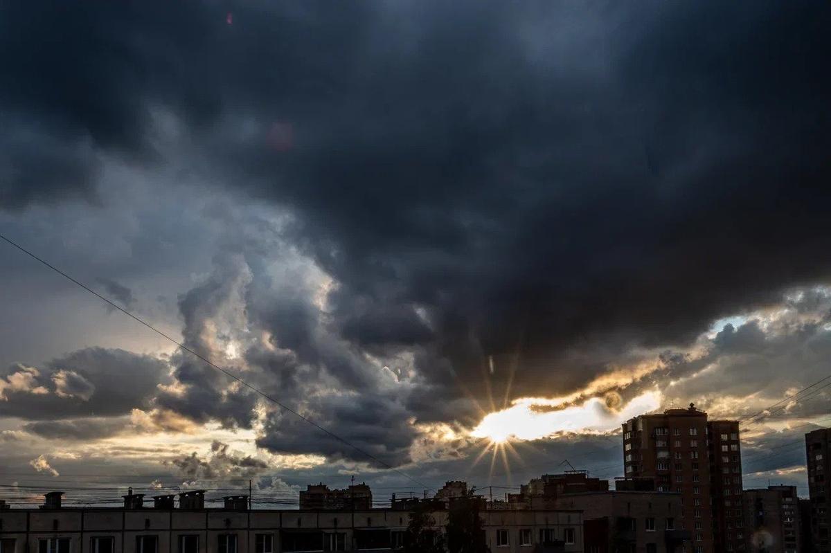 Фото: Олег Золото / MR7