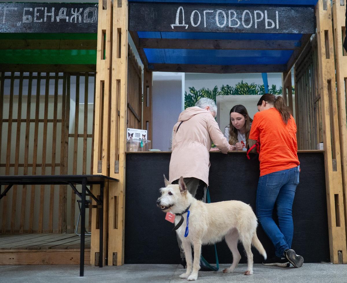 Фото: Дмитрий Абрамов / MR7