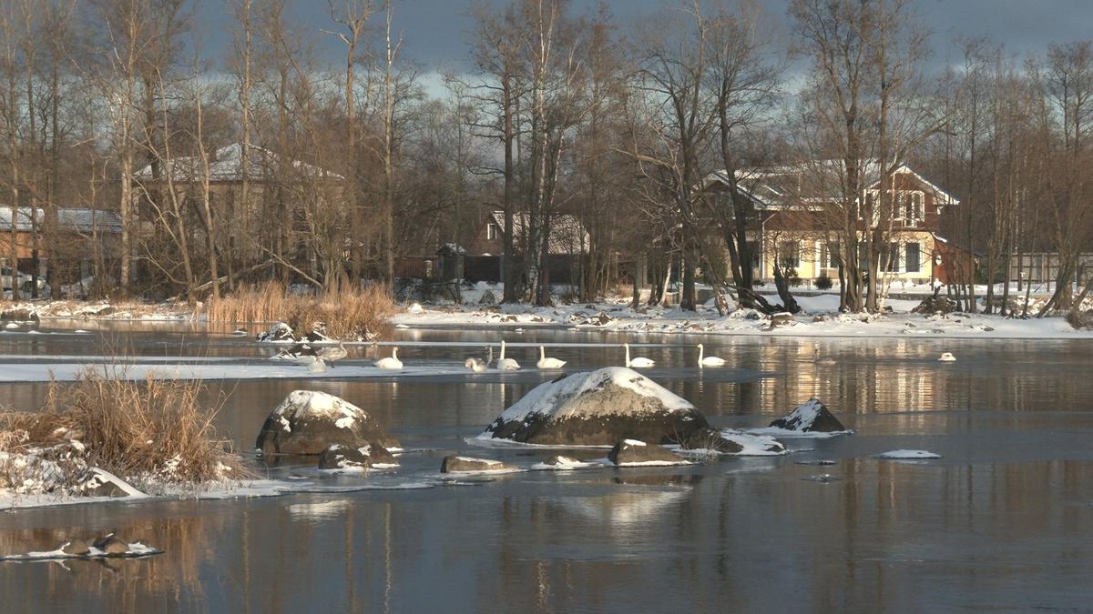 Фото: Павел Глазков / «Каждой твари по паре»