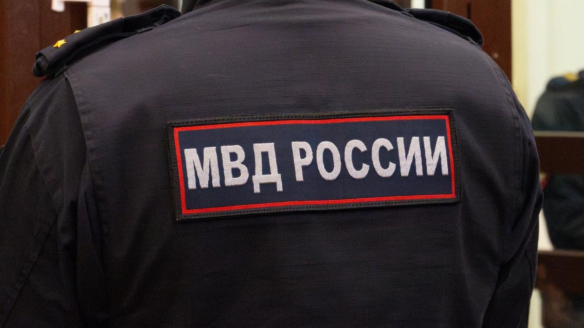 Руководителя детского ансамбля из Симферополя задержали в Петербурге за демонстрацию флага крымских татар