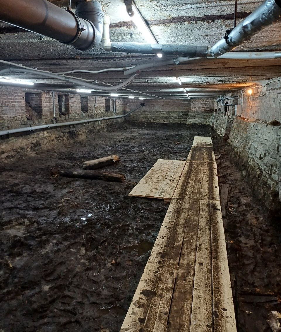 Фото: предоставлено жильцами дома Колобовых