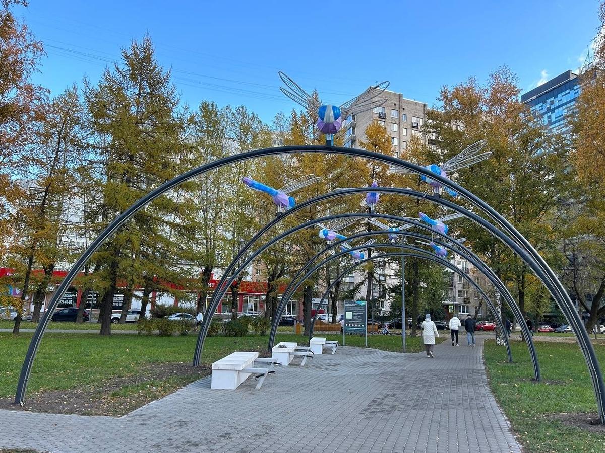 Фото: Дарья Дмитриева / MR7