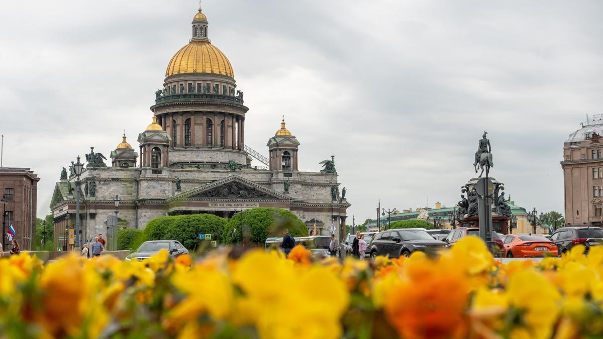 7 поводов выйти из дома 22—23 августа