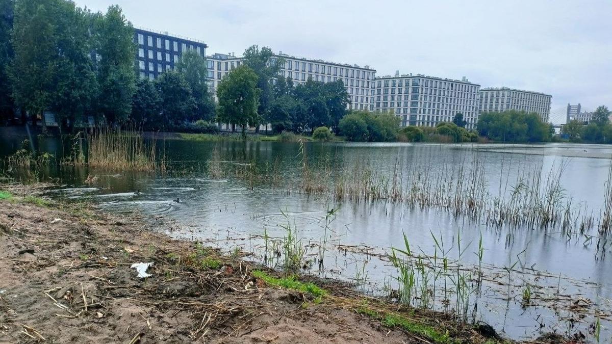 Фото: Илья Цейтлин