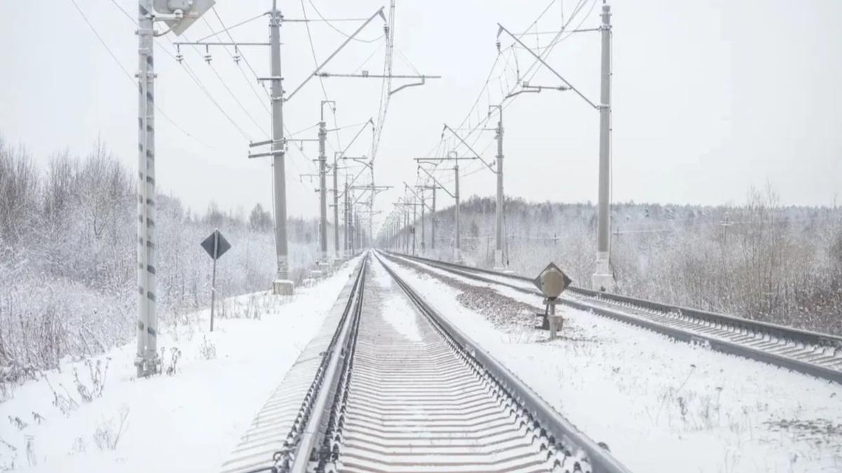 Фото: Олег Золото / MR7