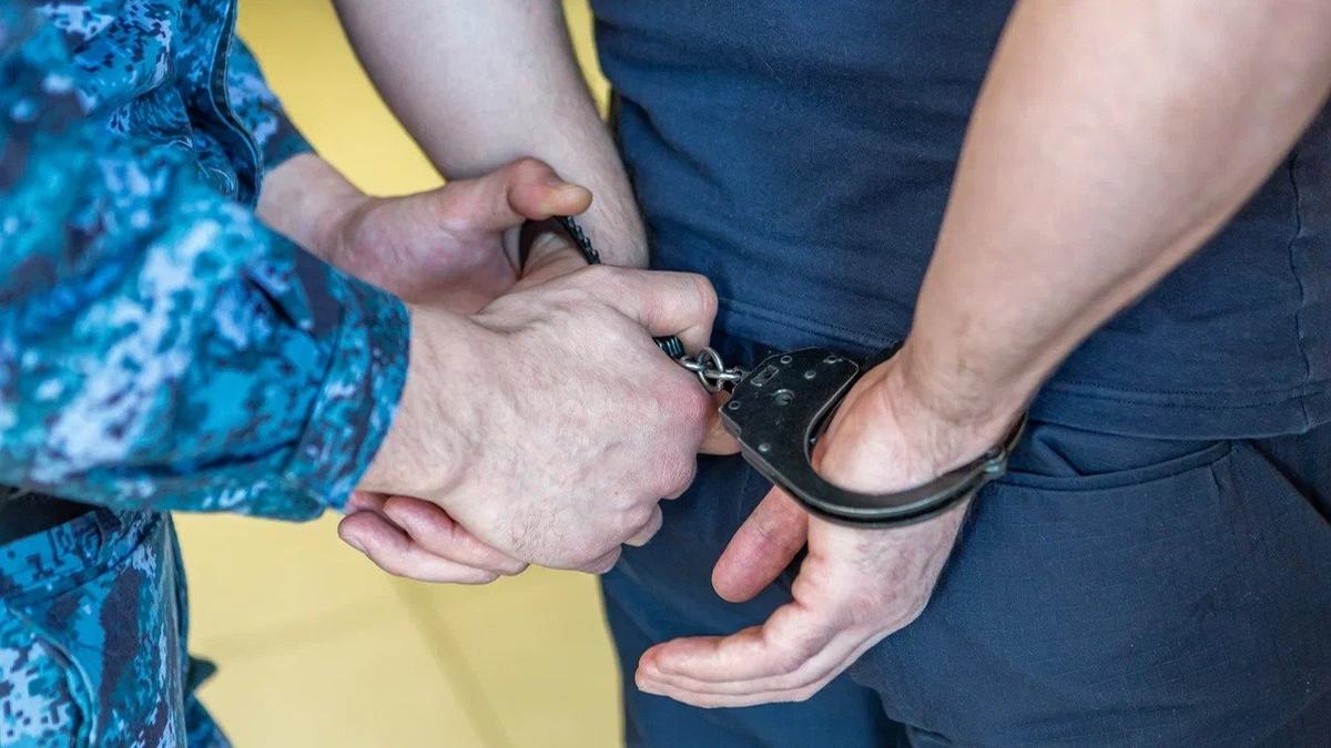 Ремонтнику, жестоко убившему хозяйку квартиры на Студенческой, дали более семи лет колонии