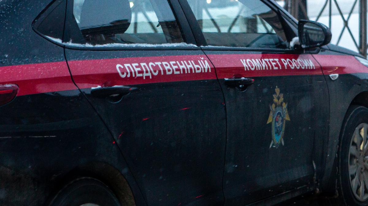 СК может возбудить уголовное дело после нападений мигрантов на подростков в Петербурге