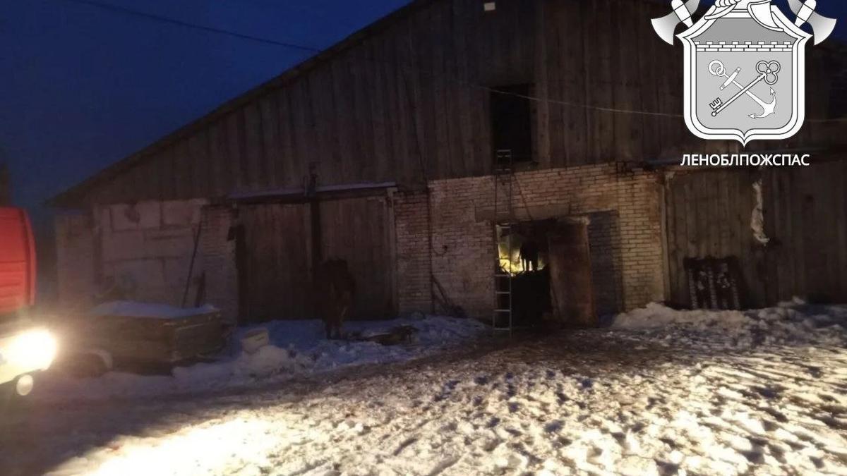 Фото: Леноблпожспас