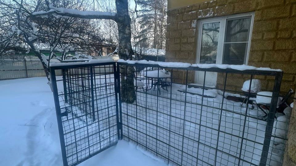 Фото: прокуратура Петербурга
