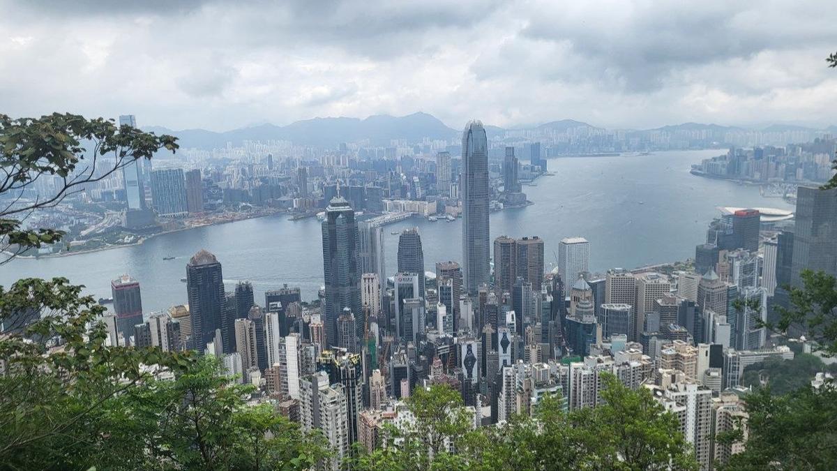 Фото: предоставлено пресс службой МегаФон