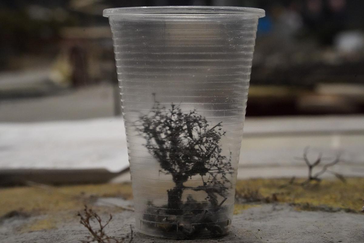 Фото: Павел Борисенко / MР7