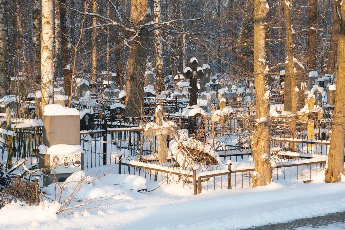 Фото: Олег Золото / MR7