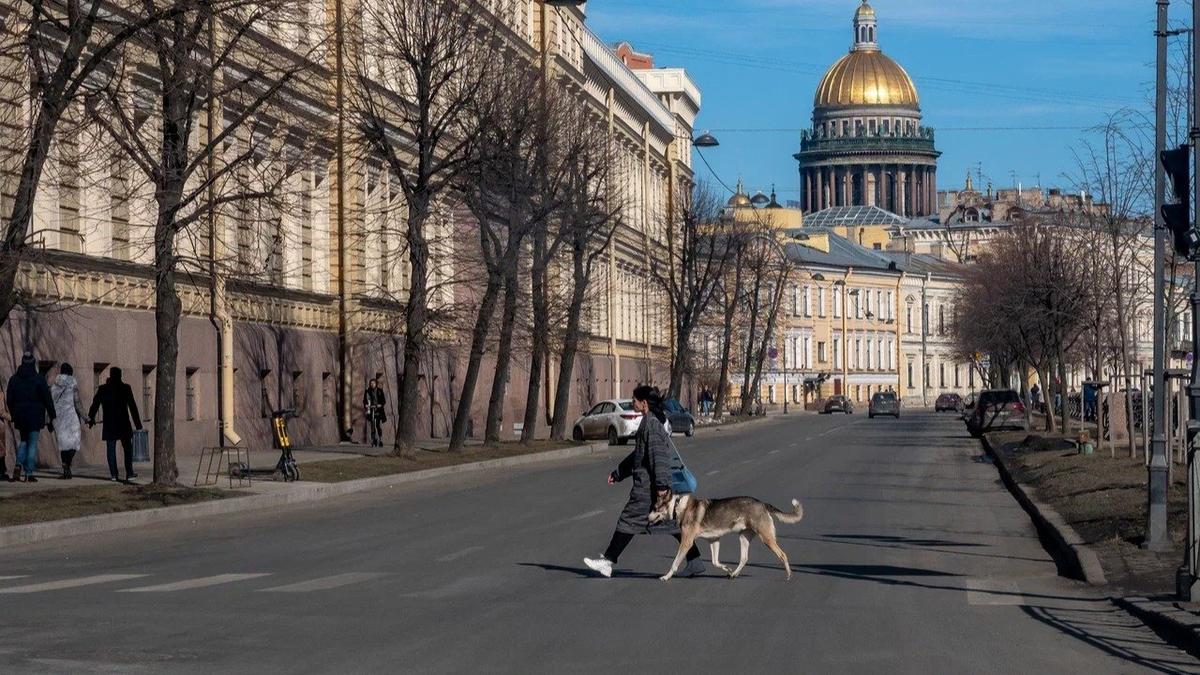 Фото: Олег Золото / МР7