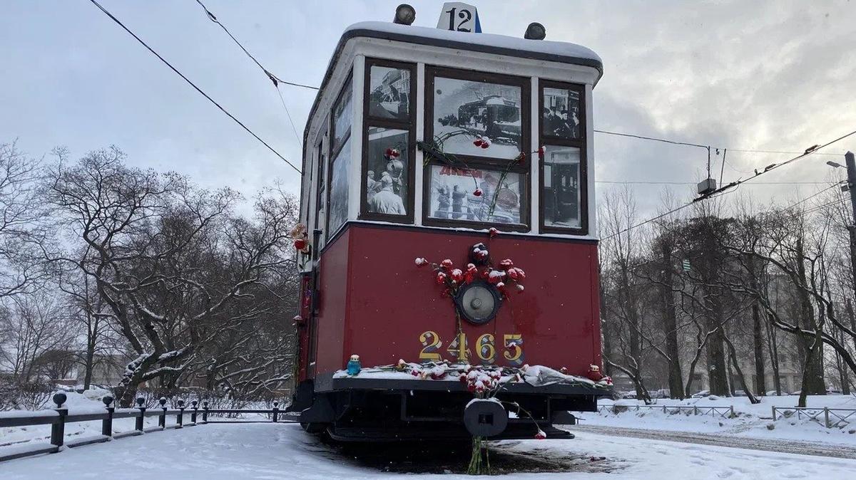 Фото: Андрей Швед / МР7