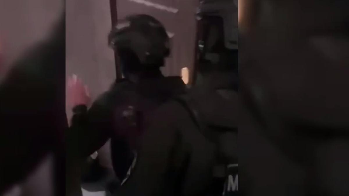 Скриншот видео: МВД по Петербургу и Ленобласти