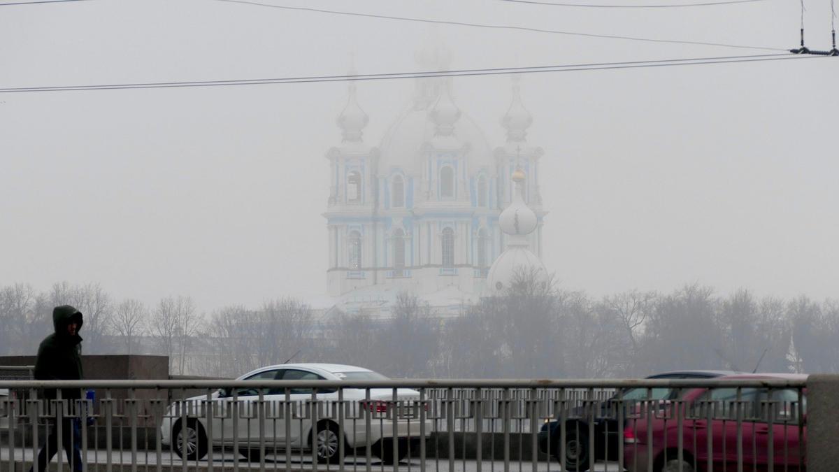 Фото: Павел Даиси / MR7