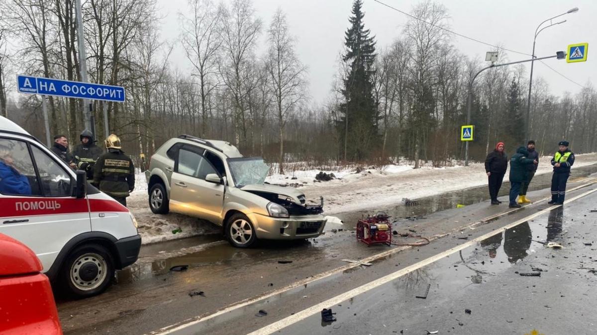 Сотрудники ГИБДД проверяют смертельное ДТП на трассе «Нарва» | 31.01.2024 |  Санкт-Петербург - БезФормата