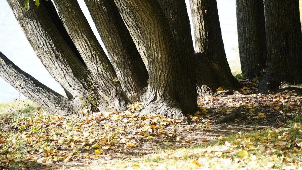 Фото: Павел Борисенко / MR7