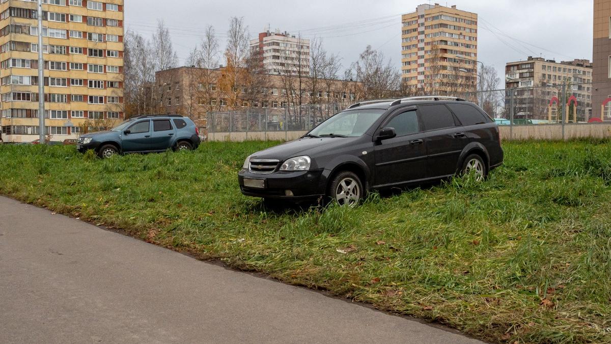 Фото: Олег Золото / МР7
