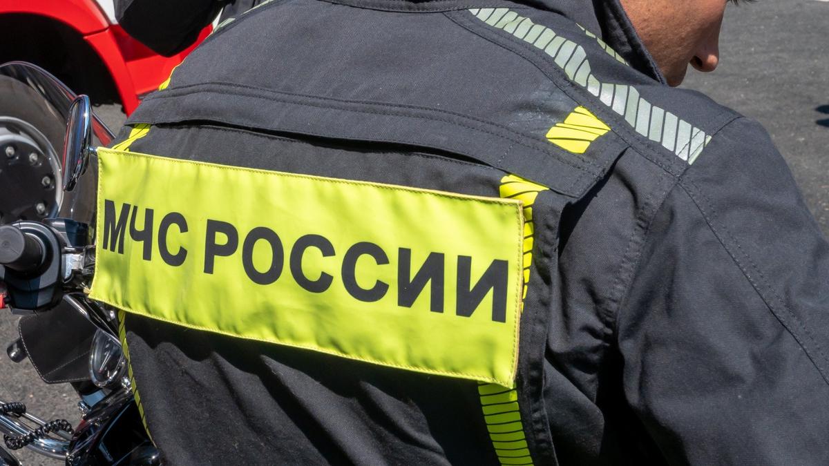 Фото: Олег Золото / МР7