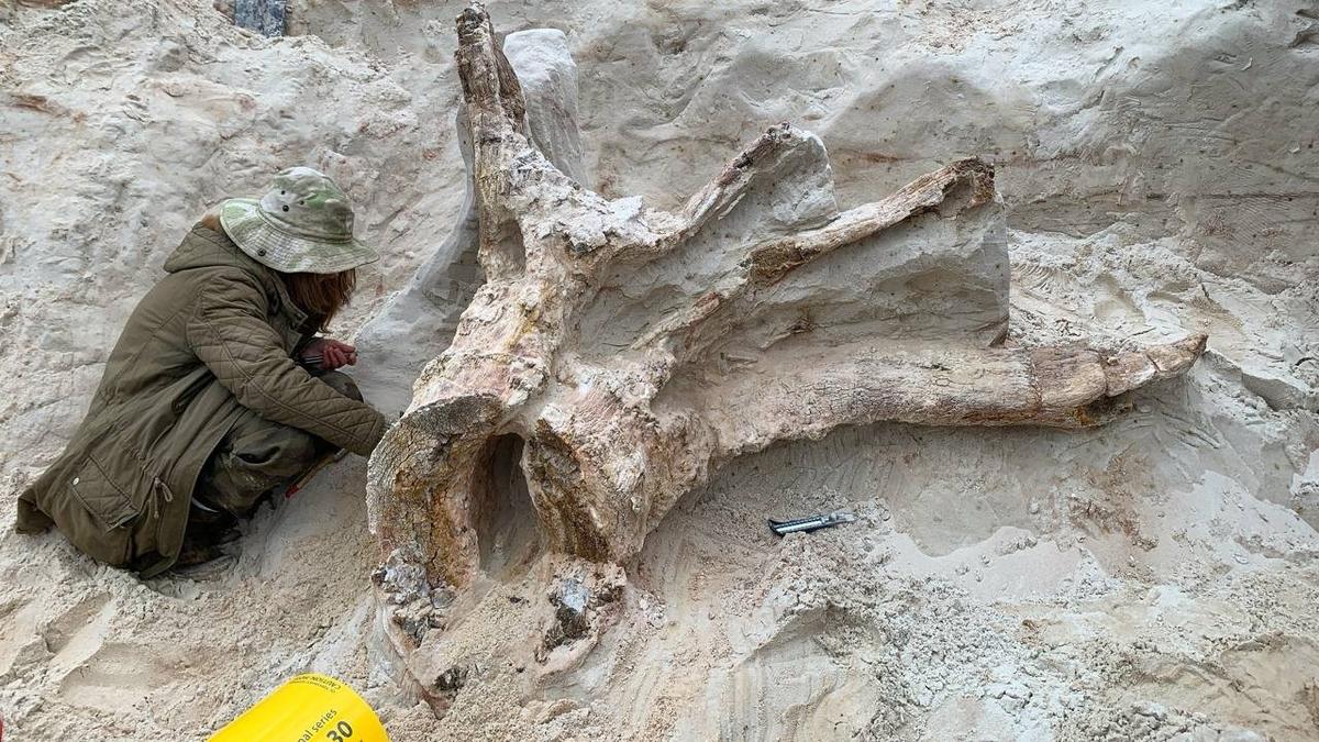 Фото: Антон Барашенко в