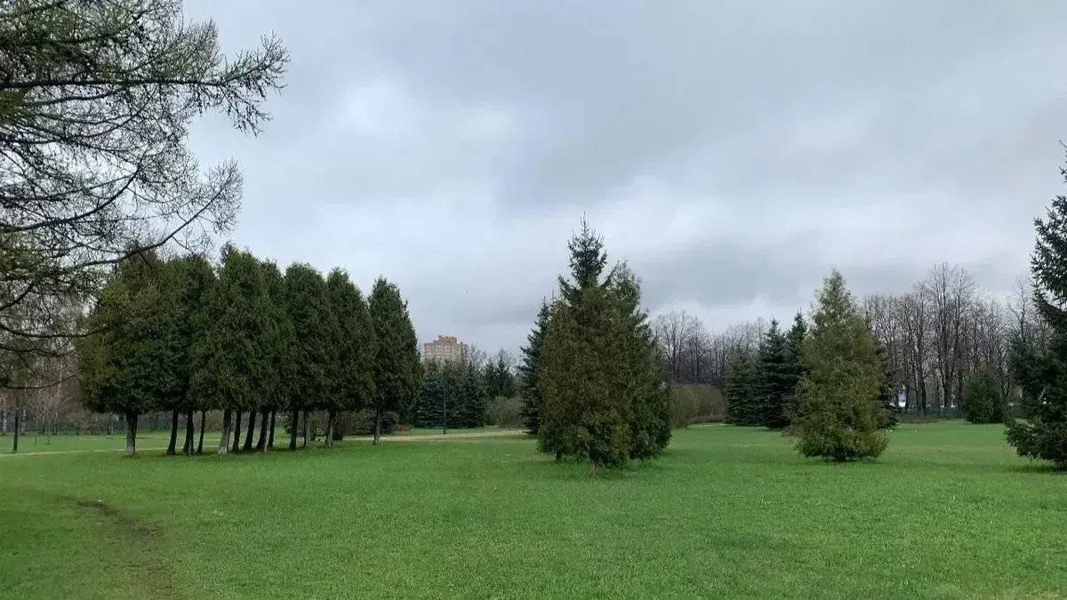 Парк Академика Сахарова. Фото: КГИОП