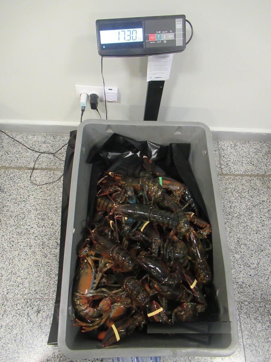 Фото: сайт СЗТУ