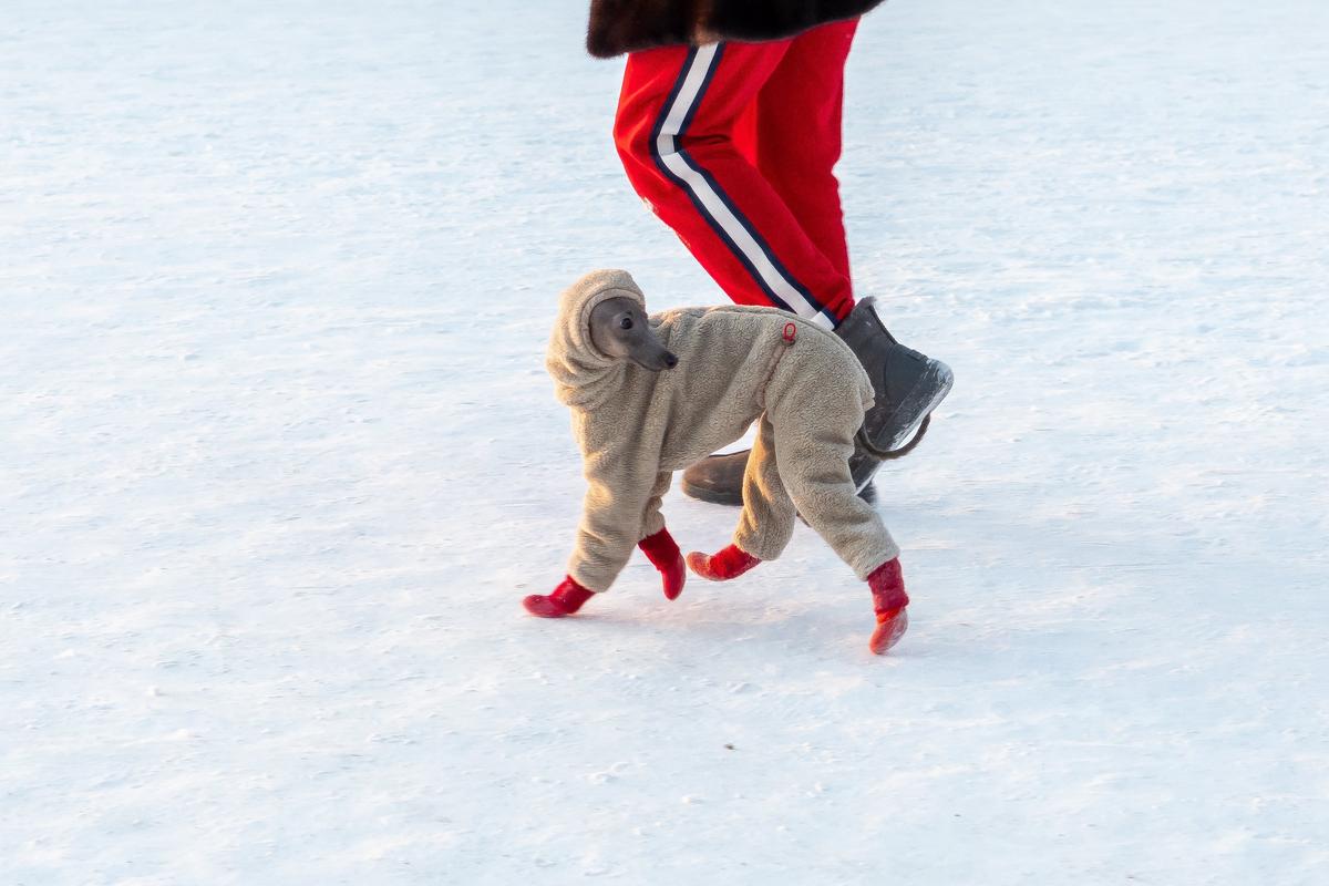 Фото: Олег Золото / MR7