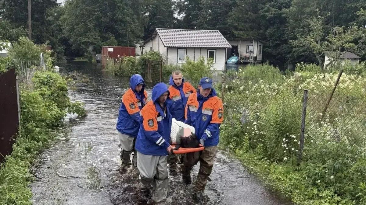 Фото: комитет правопорядка и безопасности ЛО