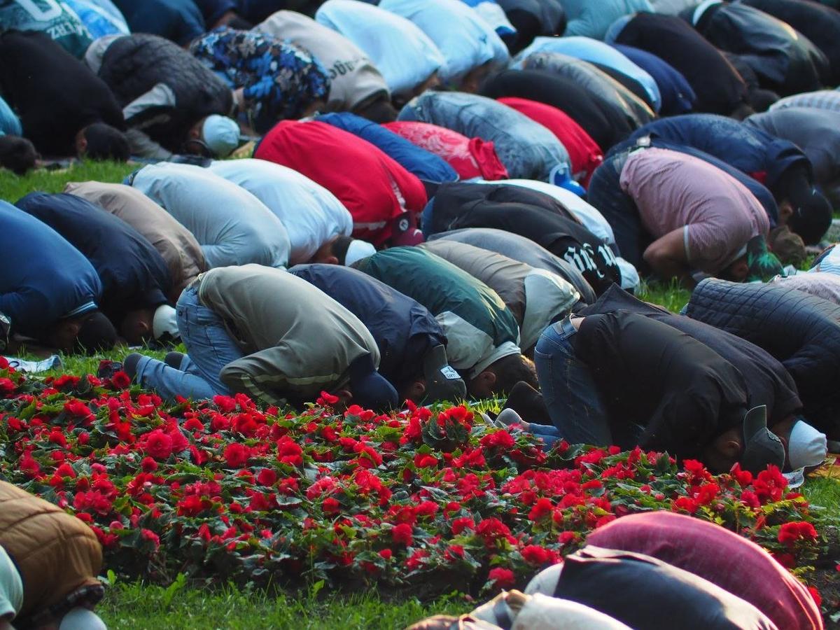 Фото: Дмитрий Абрамов / MR7