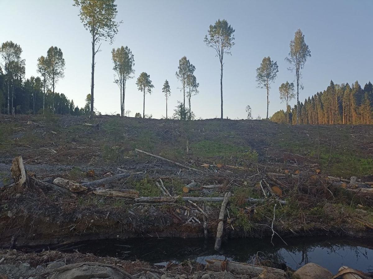 Фото: Иван Белкин