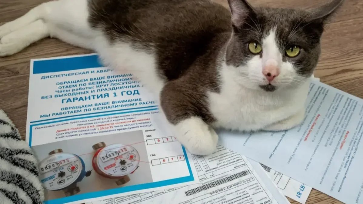 Фото: Олег Золото / MR7