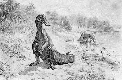 C_hadrosaur