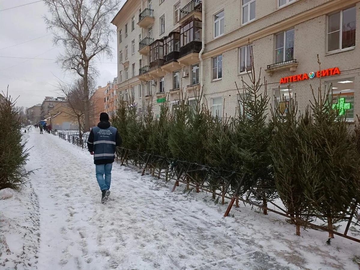 Фото: пресс-служба комитета по контролю за имуществом Петербурга